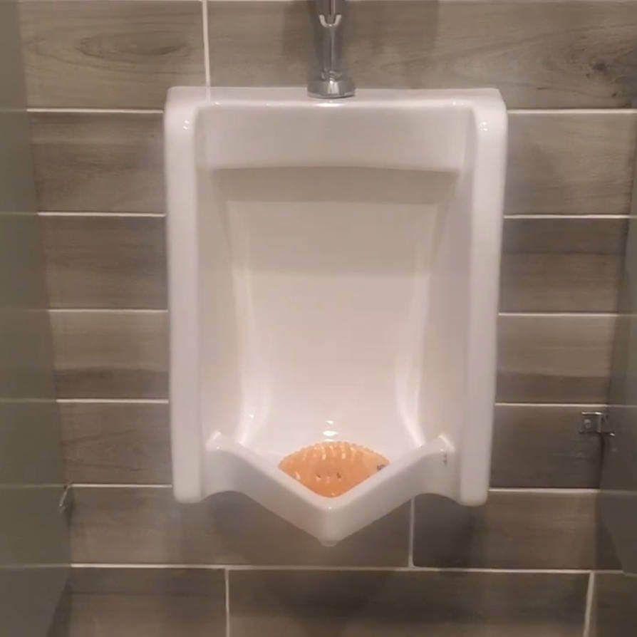 The Urinal by ToiletsandUrinals on DeviantArt The Urinal by ToiletsandUrinals on DeviantArt