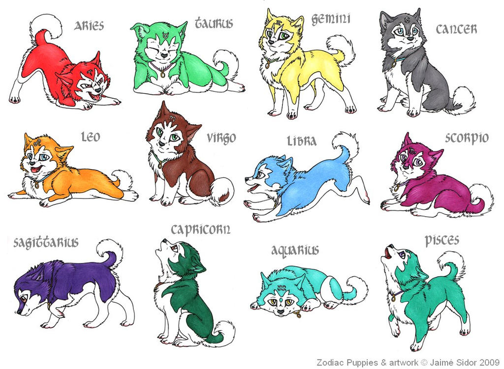 Какая собака по гороскопу. Животных по знаку зодиака. Породистые кошки по знакам зодиака. Волки по знаку зодиака. Картинки животных по знаку зодиака.
