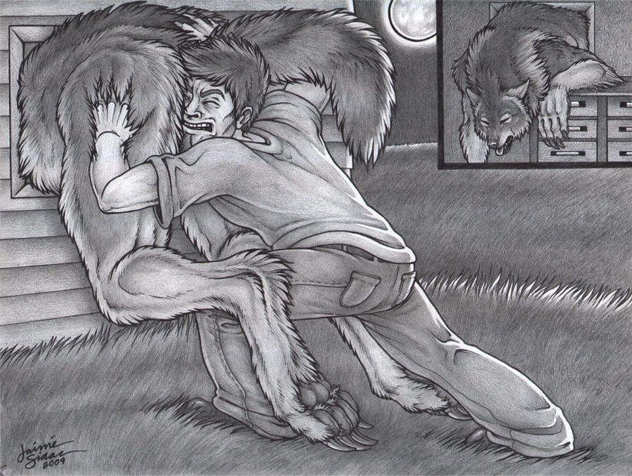 Hide the Werewolf by Emryswolf