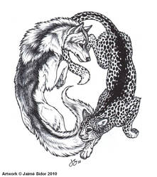 Wolf meets Cat