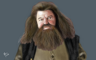 Hagrid Sketch