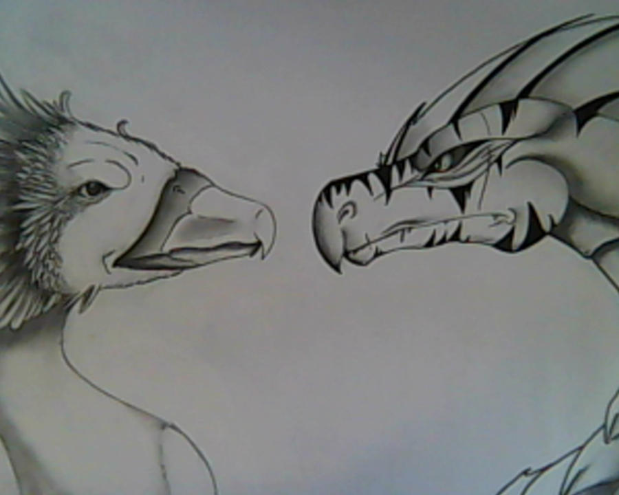 Phoenix VS Dragon