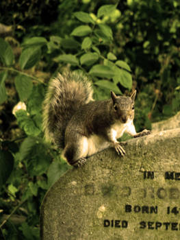 Brompton Cemetery 03