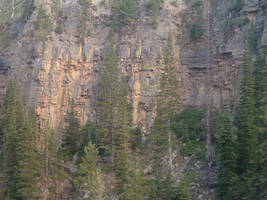 Yellowstone Basalt Spires