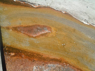 Yellowstone Spring Pallette