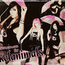 Skelanimals Wallpaper