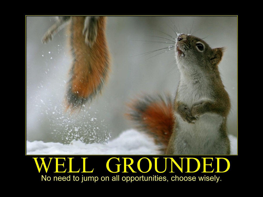 Well Grounded Squirrel