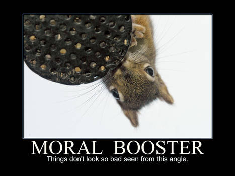 Moral Booster