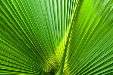 Green Energy by MichelLalonde