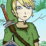 Link