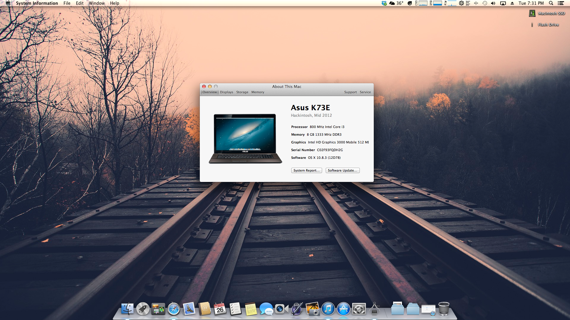 Hackintosh System Information by arrontaylor on DeviantArt