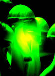 The green light by IDeviant