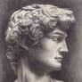 Face Of David by Rafik Emil H