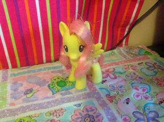 Fluttershy