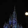 Cinderella Castle