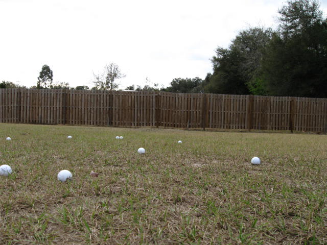 Golf Balls -2