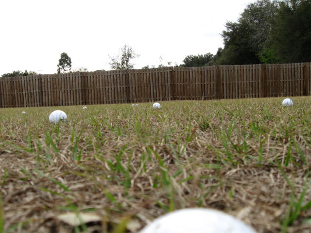 Golf Balls -3