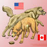 APH Wolfinized: USA and Canada