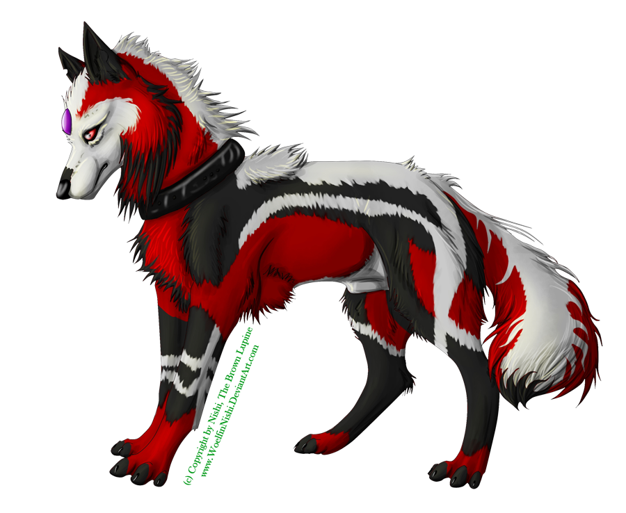 Wolfy-nized OC: DarkHorse