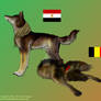 APH WN: Egypt and Belgium