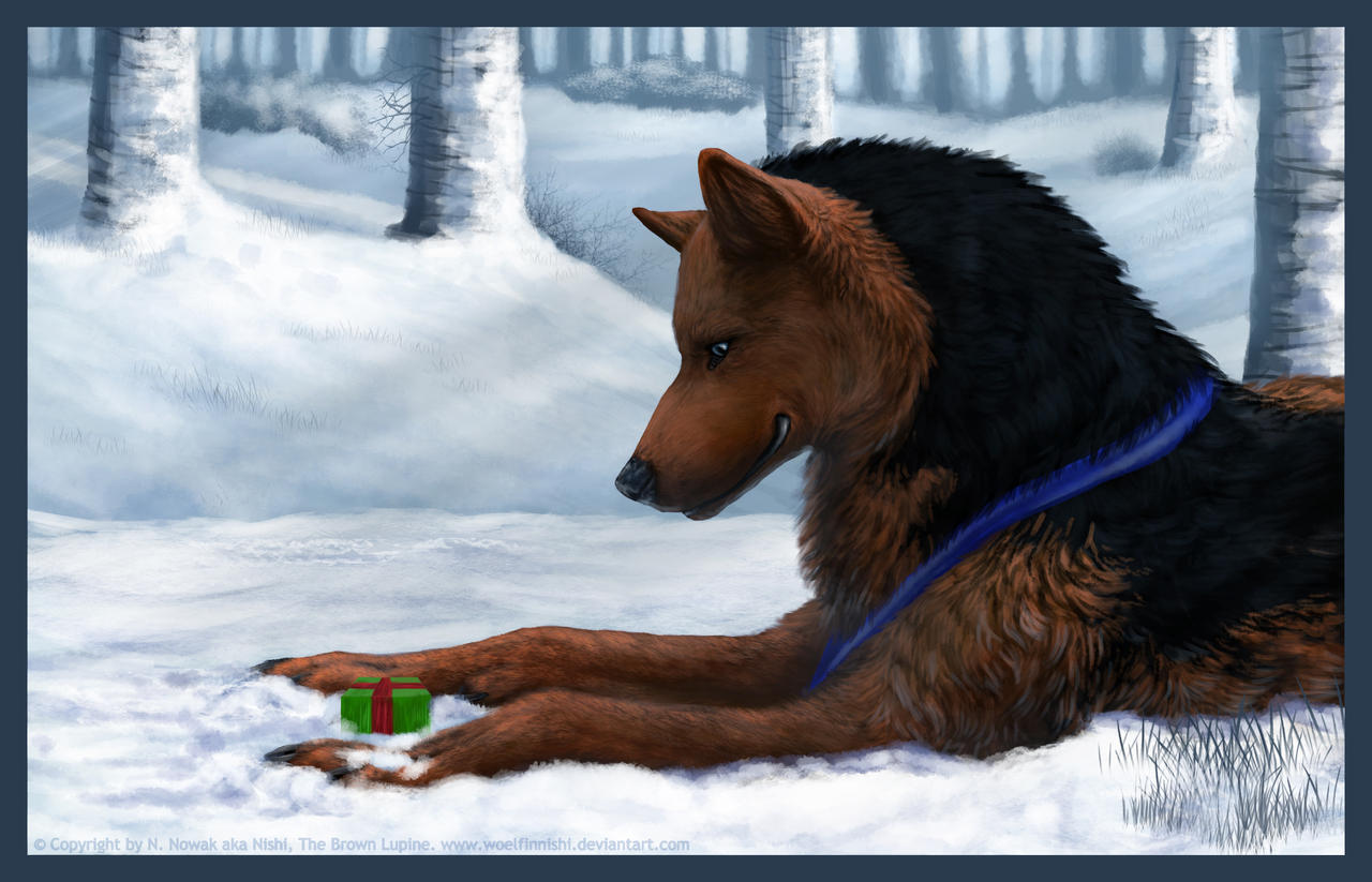On Christmas remember the Forgotten ones