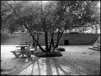 Park in DC