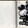 The Diary of a Scene Kid