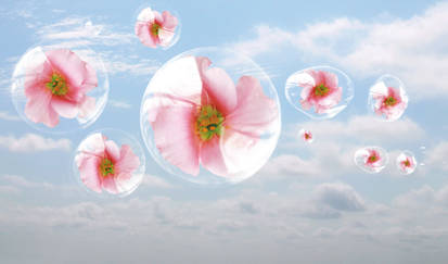 flowers bubbles