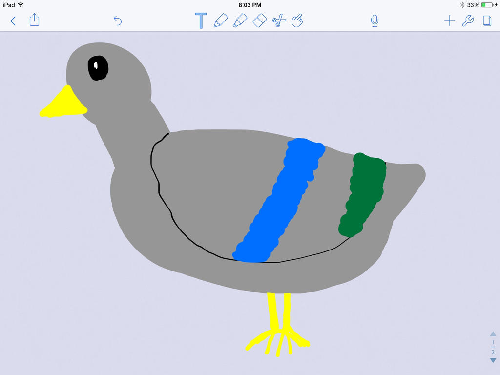 National draw a bird day by Newroleplayer on DeviantArt