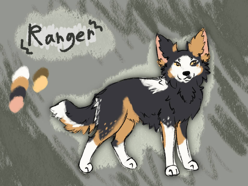 The dog Ranger by ShyCreationsss on DeviantArt
