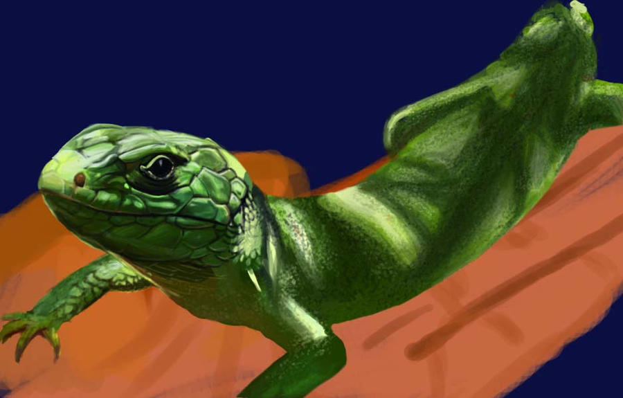 Lizard From Add The Lizard by KreativeCid on DeviantArt