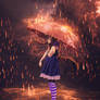 Rain and my Umbrella