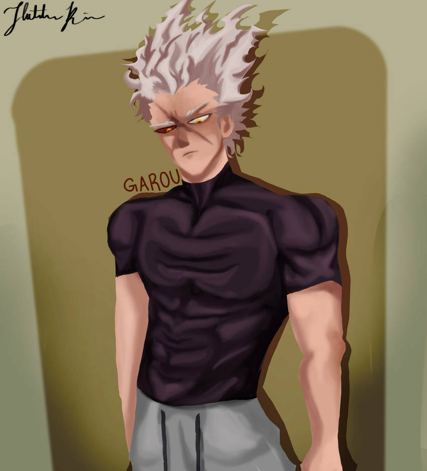Garou Ragdoll Garou drawing by nothingto633here on DeviantArt