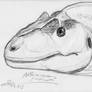 Allosaurus sketch portrait returns