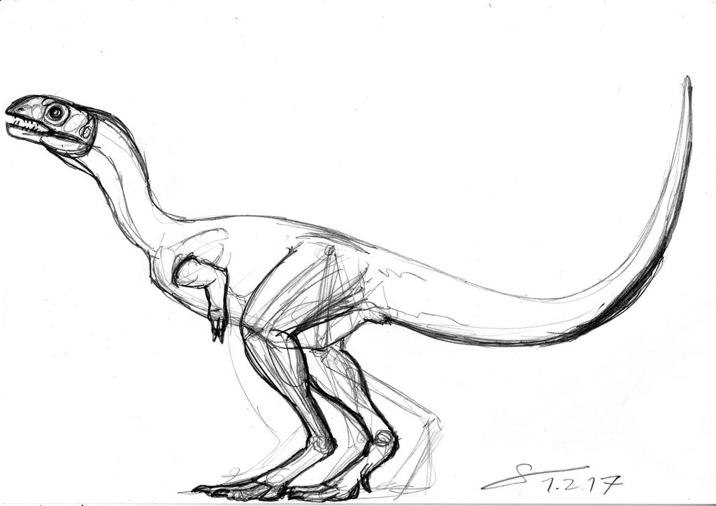 Limusaurus juvenile sketch