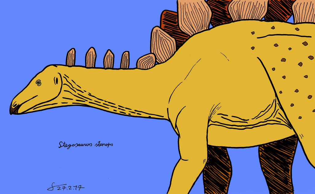 Stegosaurus stenops inked profile colored