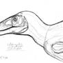 Utahraptor portrait preliminary sketch