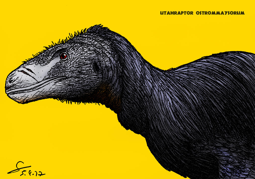 Utahraptor portrait colored V2 by ShinRedDear on DeviantArt