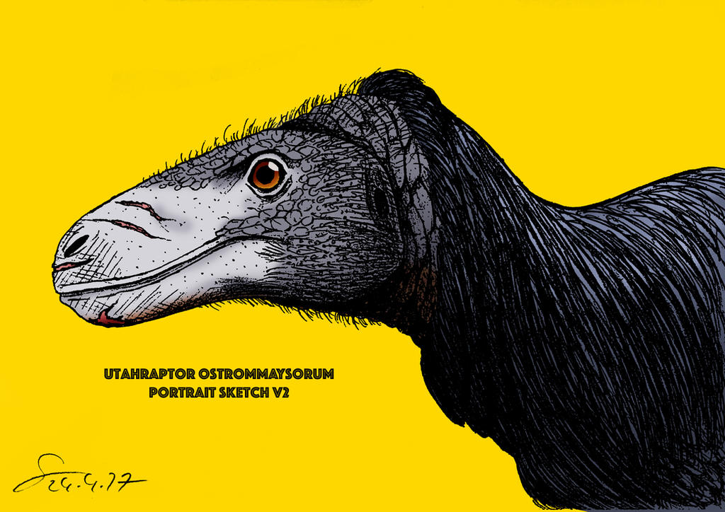 Utahraptor portrait Remake colored V2 by ShinRedDear on DeviantArt