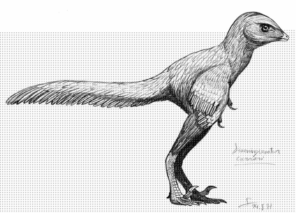 Liaoningvenator traditional sketch by ShinRedDear on DeviantArt