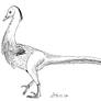 Halszkaraptor inked sketch
