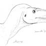 Juvenile Tyrannosaurus portrait sketch
