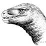 Saurornitholestes inked portrait