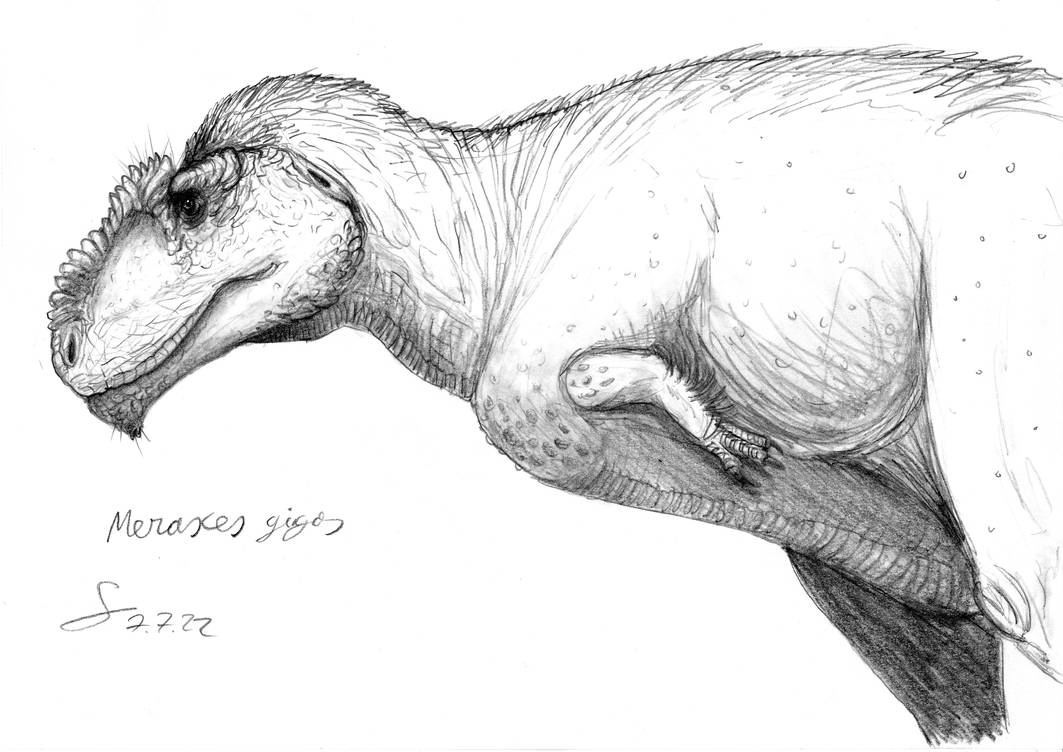 Meraxes gigas by ShinRedDear on DeviantArt