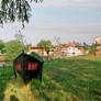 Danube Delta, Ukraine 3