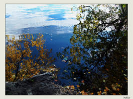 autumn in a mirror