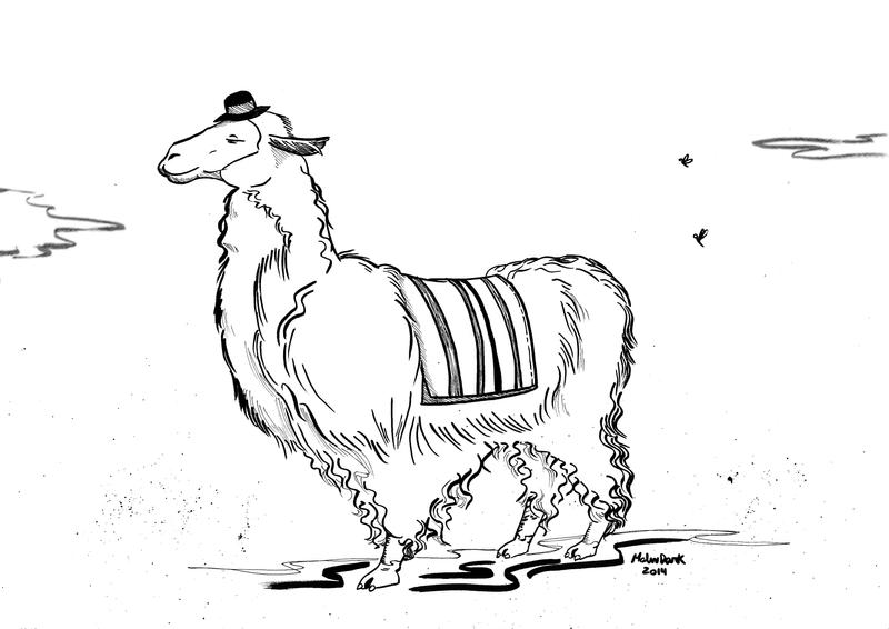 Miss Llama