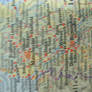 England map texture