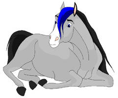 Adoptable blue and gray horse