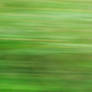 BLURRY GRASS
